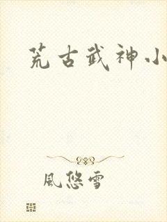 荒古武神小说