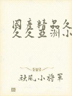 国产精品久久久久久亚洲小说