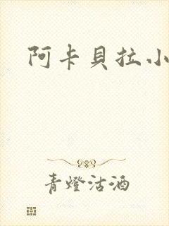 阿卡贝拉小说封面