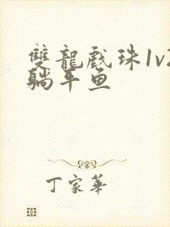 双龙戏珠1v2躺平鱼