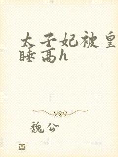 太子妃被皇上强睡高h封面