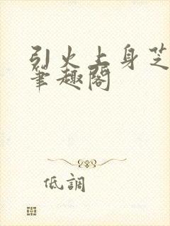 引火上身芝麻糖笔趣阁