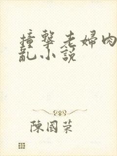 撞击老妇肉体之乱小说封面