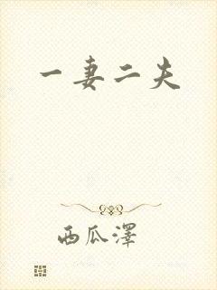 一妻二夫封面