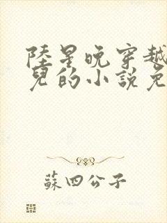 陆星晚穿越成婴儿的小说免费阅读全文