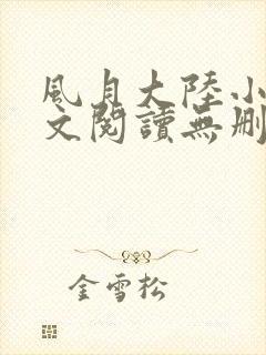 风月大陆小说全文阅读无删减封面