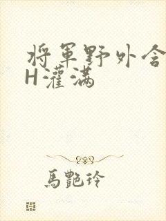 将军野外含公主H灌满封面