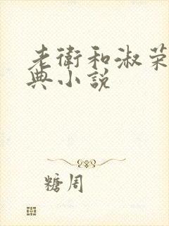 老卫和淑荣的经典小说封面