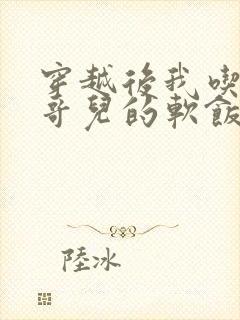 穿越后我吃到了哥儿的软饭炉山灰