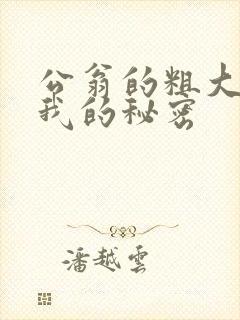 公翁的粗大放进我的秘密