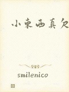 小东西真欠弄封面