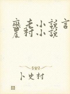 恋老小说言情网农村小说封面