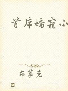 首席娇宠小情人