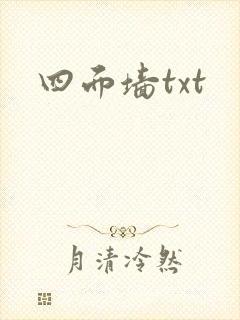 四面墙txt