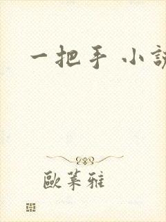 一把手 小说
