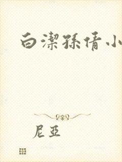 白洁孙倩小说封面