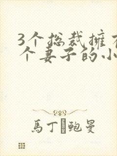 3个总裁拥有一个妻子的小说