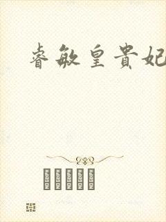 睿敏皇贵妃封面