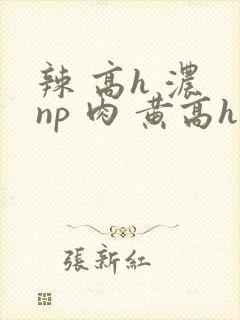 辣 高h 浓 np 肉 黄高h