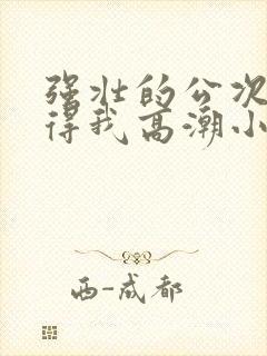 强壮的公次次弄得我高潮小说封面