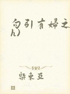 勾引有妇之夫(h)