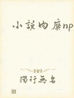 小说肉糜np封面