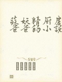 苏妖精厨房爹爹爸爸的小说