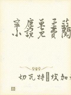 宁尘单柔苏千雪小说免费阅读最新