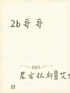 2b哥哥