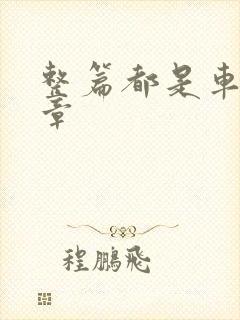 整篇都是车的文章