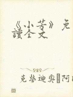 《小芳》免费阅读全文