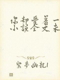 你却爱着一个他小说全文未删减免费