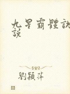 九星霸体诀 小说