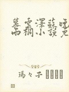 慕云泽苏晚晴夏雨桐小说免费阅读