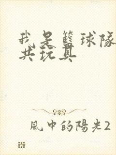 我是篮球队的公共玩具