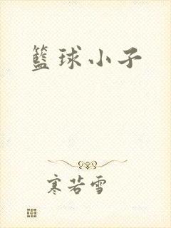 篮球小子