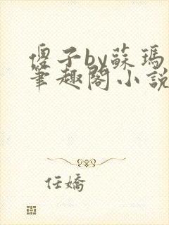 傻子by苏玛丽笔趣阁小说封面