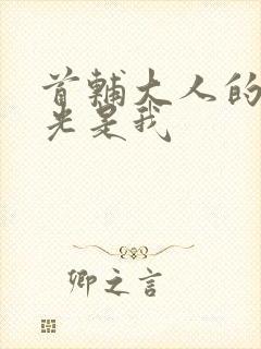 首辅大人的白月光是我封面