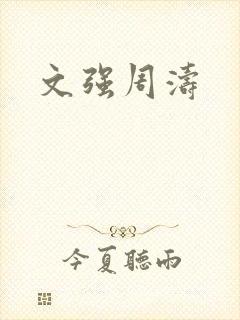 文强周涛封面