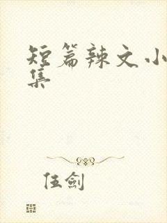 短篇辣文小说合集封面