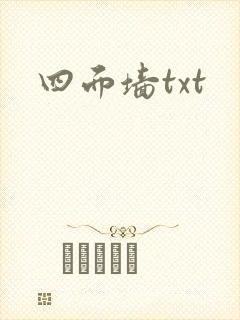 四面墙txt封面