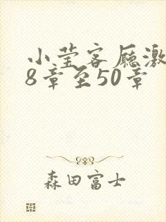 小莹客厅激情38章至50章封面