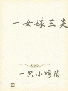 一女嫁三夫