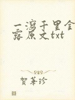 一泻千里金银花露原文txt封面