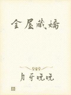 金屋藏娇封面