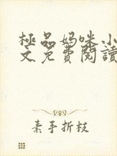 极品妈咪小说全文免费阅读封面