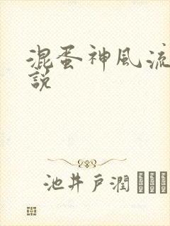 混蛋神风流史小说封面