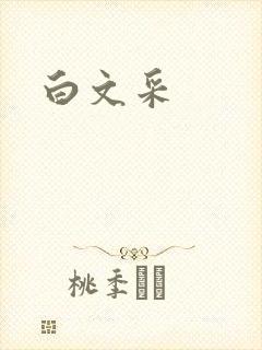 白文采