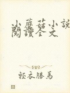 小蘑菇小说免费阅读全文