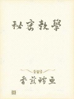 秘密教学封面
